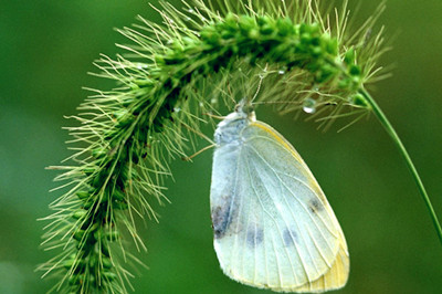 �������Ҫϰ��