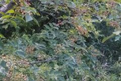 �������ܻ�����ꣿ���¼������Խ����