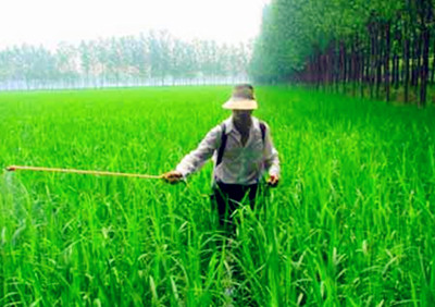 ˮ�����溦������״