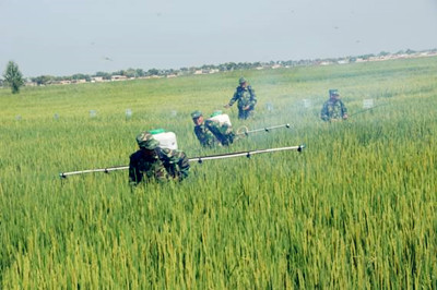 ˮ�����溦���ۺϷ���---ũҵ����