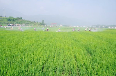 ˮ�����溦���ۺϷ���---�������