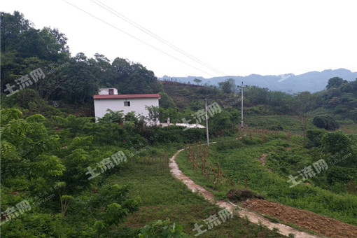 ����ֲ����ô������Ư����