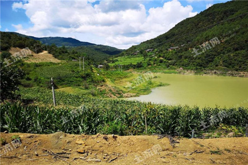 ʲô��ˮ��ֲ������ʺ�����ˮ��ֲ���������Щ��