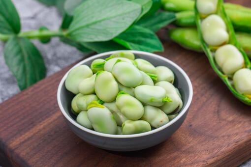 蚕豆多少钱一斤-摄图网