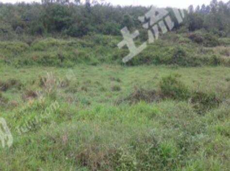 ��������2