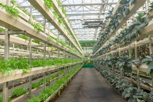 �а�������Ͷ�ʶ���Ǯ-��ͼ��