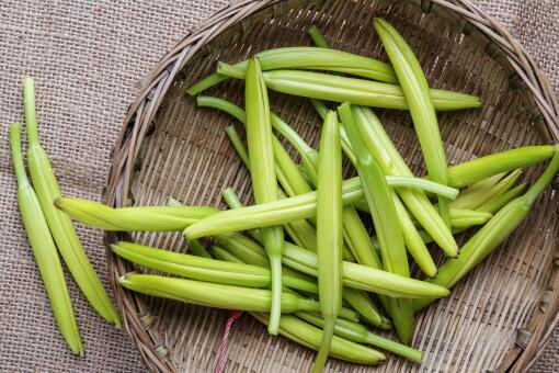 �ƻ���ʲôʱ���ժ-��ͼ��