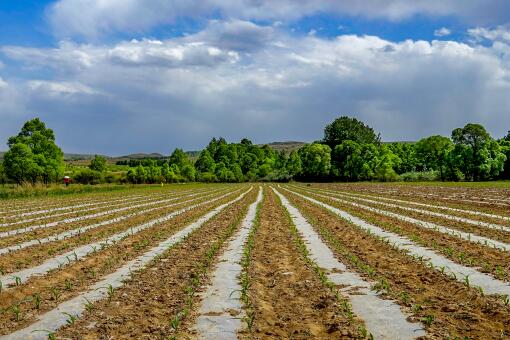 ������ʲô������׬Ǯ-��ͼ��