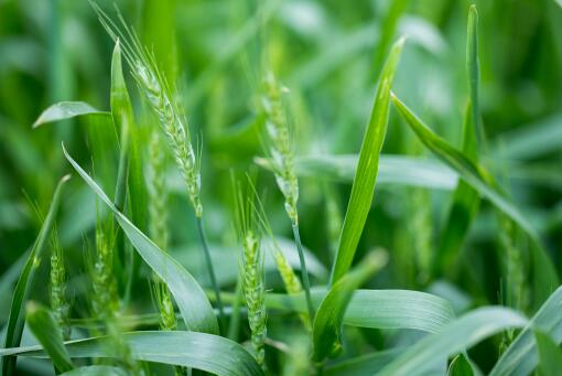 С��۸�-��ͼ��