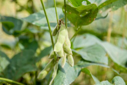 ë������Ǯ-��ͼ��