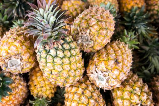 菠萝种植前景-摄图网