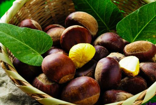 ������ֲǰ������-��ͼ��