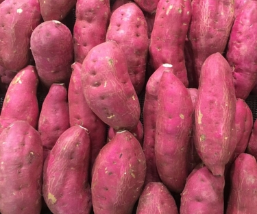 ����������ջ�ʱ��4