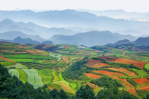 ��ֲҵ׬Ǯ��Ŀ-��ͼ��