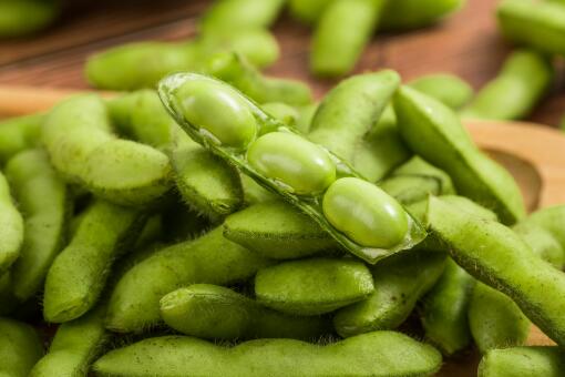 ë����ֲǰ��-��ͼ��