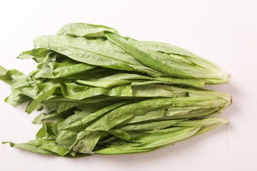 油麦菜种植前景-摄图网