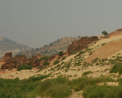 ��ҩ����ֲ����