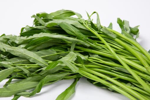 ���Ĳ���ֲǰ��-��ͼ��