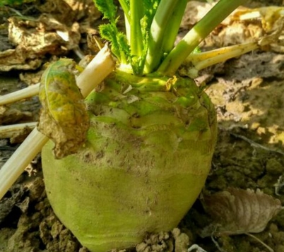 �����һ��ʲô�߲�