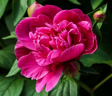 ĵ��ʲôʱ������