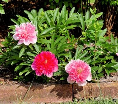 ĵ��ʲôʱ������