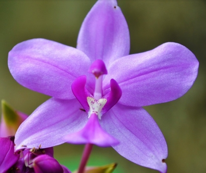 ����ʲôʱ������