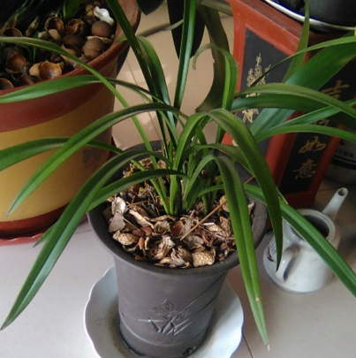 ����ʲôʱ������