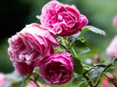 �¼���ʲôʱ������