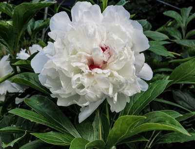 ��ҩ���������ʱ��