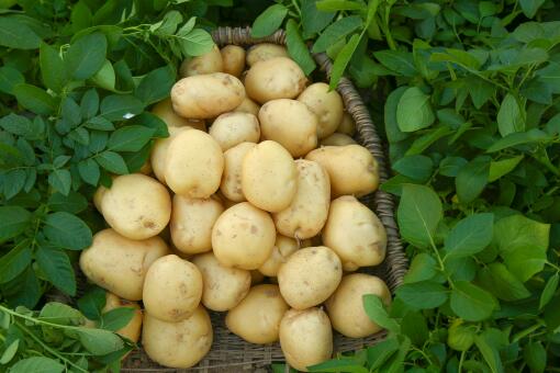 �����۸�-��ͼ��