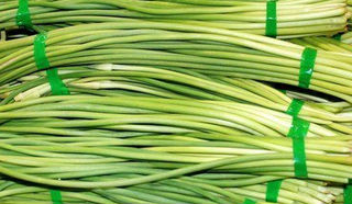 ������̦����Ǯһ��