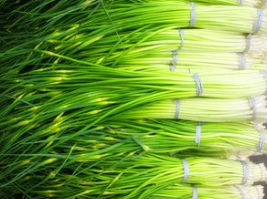 ������̦����Ǯһ��