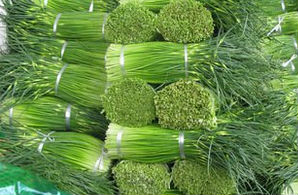 ������̦����Ǯһ��