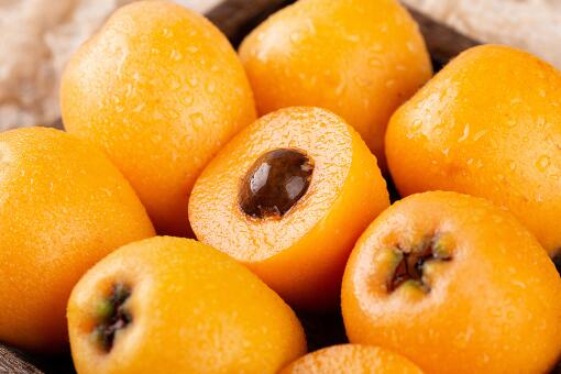 福建采枇杷好去处-摄图网