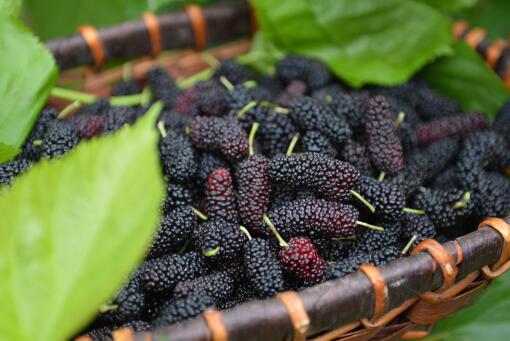 �ڽ�ժɣ�غ�ȥ��-��ͼ��