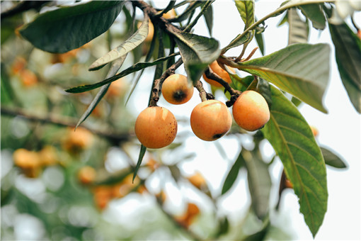 ����-��ͼ��