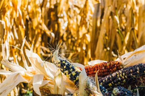 ����-��ͼ��