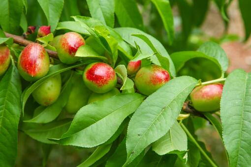 ��ʲôƷ�ֵ�����׬Ǯ-��ͼ��