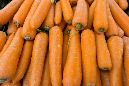 ���ܲ��۸�Ԥ��-��ͼ��