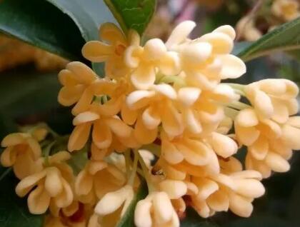 ����ʲôʱ���������