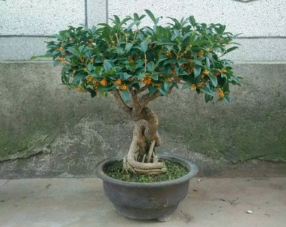 ����ʲôʱ���������