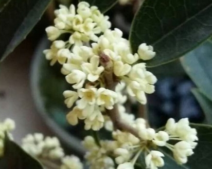 ����ʲôʱ���������