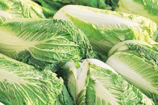 �ײ˼۸�Ԥ��-��ͼ��