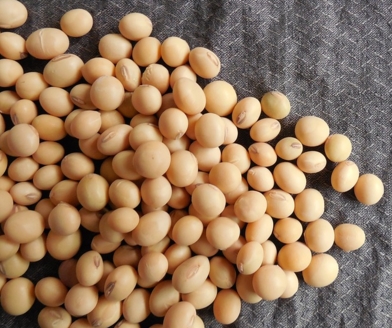 2017���ִ�����