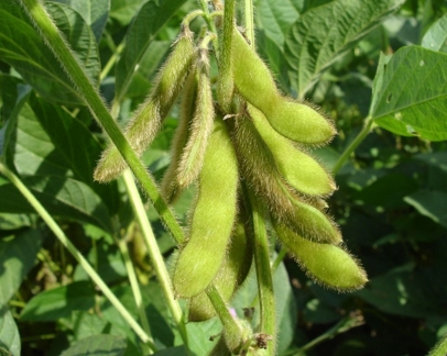 2017���ִ�����