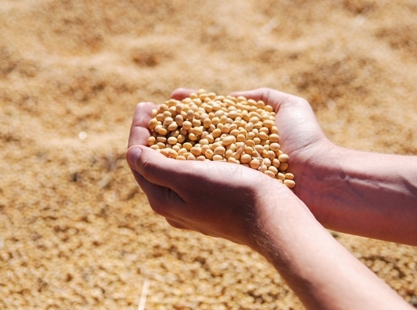 2017���ִ�����