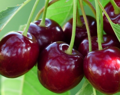 2017��ӣ�ҷ�չǰ��