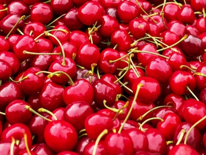 2017��ӣ�ҷ�չǰ��