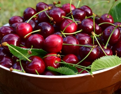 2017��ӣ�ҷ�չǰ��