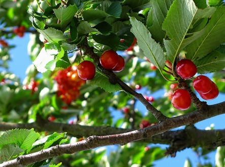 2017��ӣ�ҷ�չǰ��